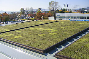 工場の折板屋根緑化