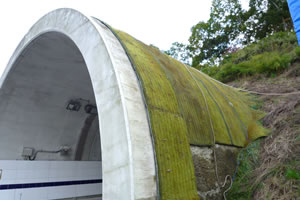 トンネル屋根の緑化