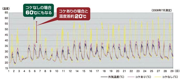 コケなしの場合、60℃にもなる　コケありの場合と温度さ約20℃